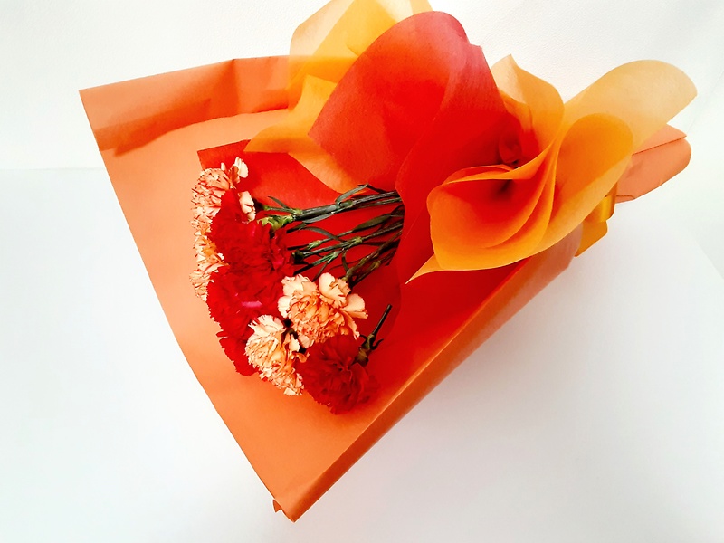 オレンジバージョン オレンジバージョン